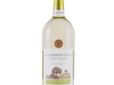 Fetzer Anthony Hill Pinot Grigio 1.5L For Discount